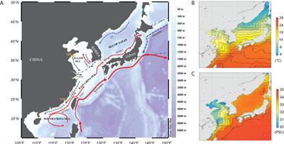 Insights into adaptive divergence of Japanese mantis shrimp Oratosquilla oratoria inferred from comparative analysis of full-length transcriptomes